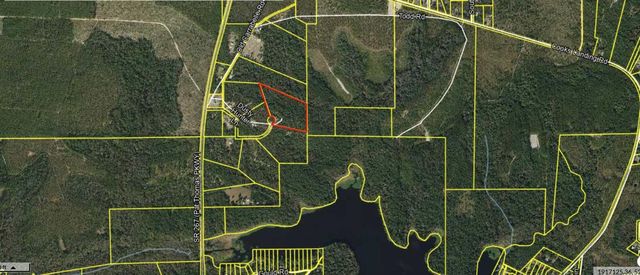 390 Dusty Hunter Lane, Quincy, FL 32351