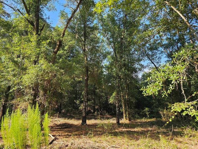 390 Dusty Hunter Lane, Quincy, FL 32351