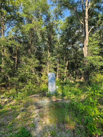 390 Dusty Hunter Lane, Quincy, FL 32351