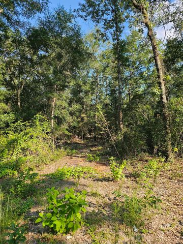 390 Dusty Hunter Lane, Quincy, FL 32351