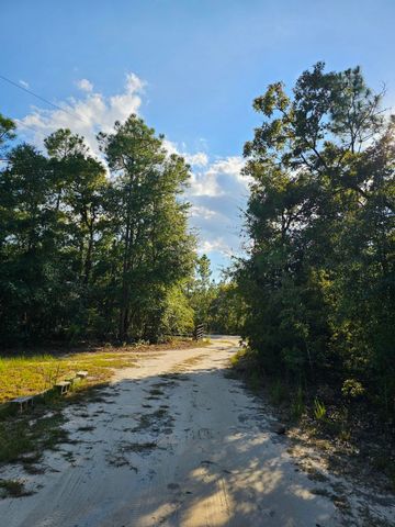 390 Dusty Hunter Lane, Quincy, FL 32351