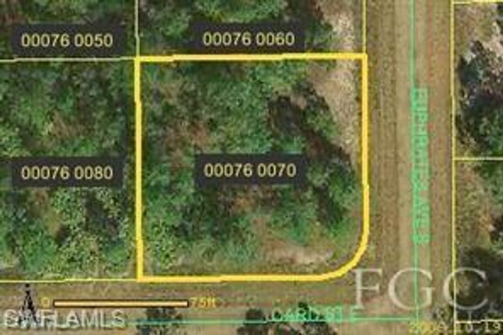 1041 Card ST E, LEHIGH ACRES, FL 33974 — photo 2