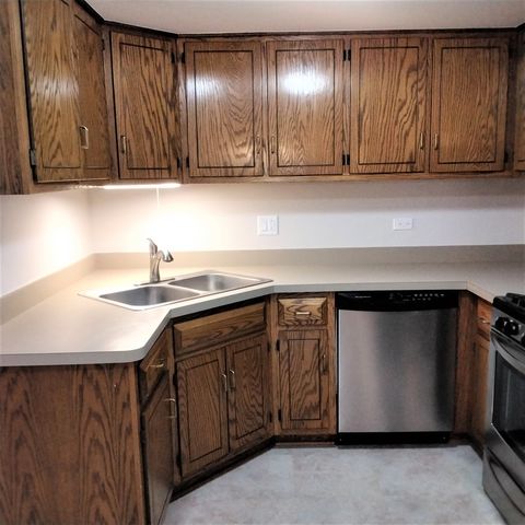 9303 WHITEHALL Lane 9303, Orland Park, IL 60462