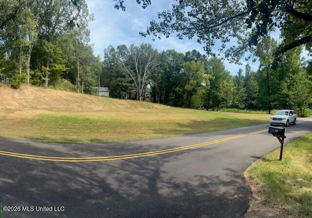 260 Memphis Street, Hernando, MS 38632 — photo 2