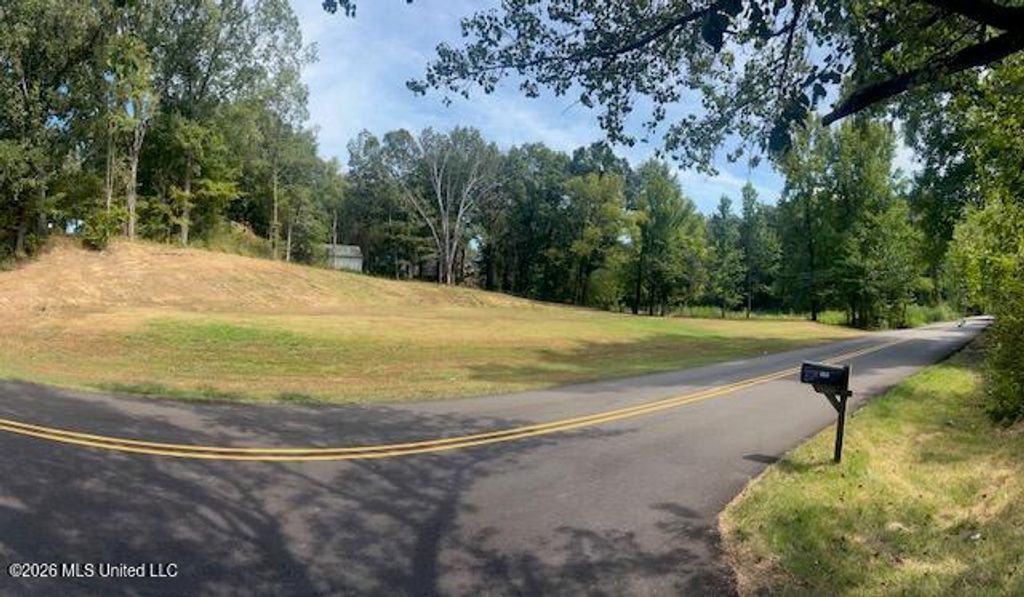 260 Memphis Street, Hernando, MS 38632 — photo 3