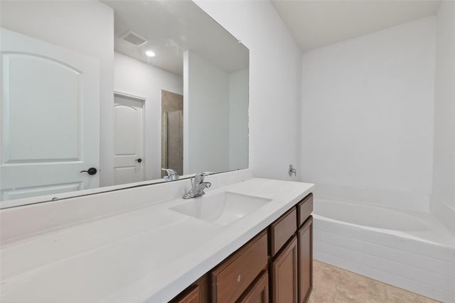 22715 Steel Blue Jaybird Drive, Hockley, TX 77447