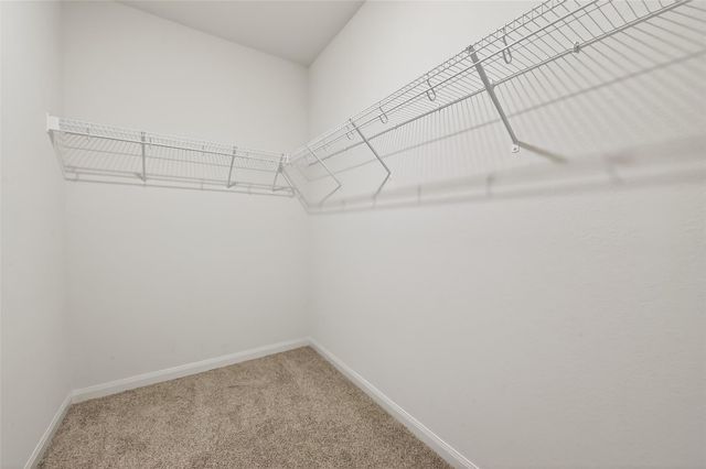 22715 Steel Blue Jaybird Drive, Hockley, TX 77447