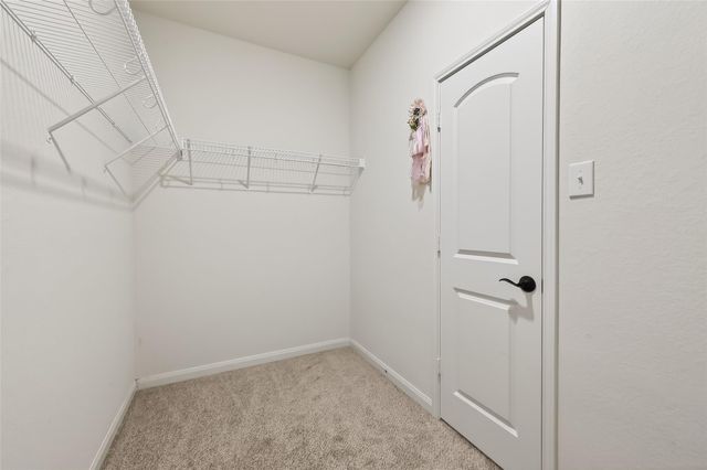 22715 Steel Blue Jaybird Drive, Hockley, TX 77447