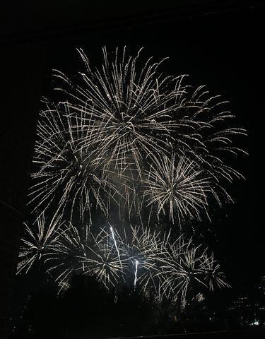 401 S 1st Street 209, Minneapolis, MN 55401