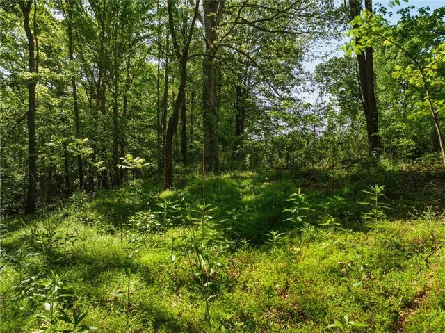 Lot 4 Summit Drive, Dahlonega, GA 30533