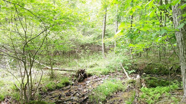 00 Tracks Hollow, Murphy, NC 28906