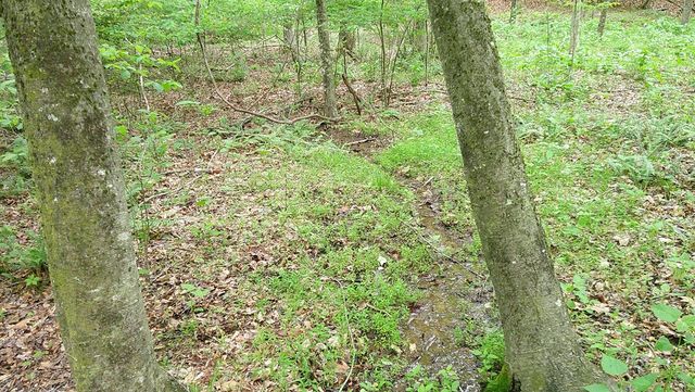 00 Tracks Hollow, Murphy, NC 28906
