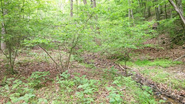 00 Tracks Hollow, Murphy, NC 28906