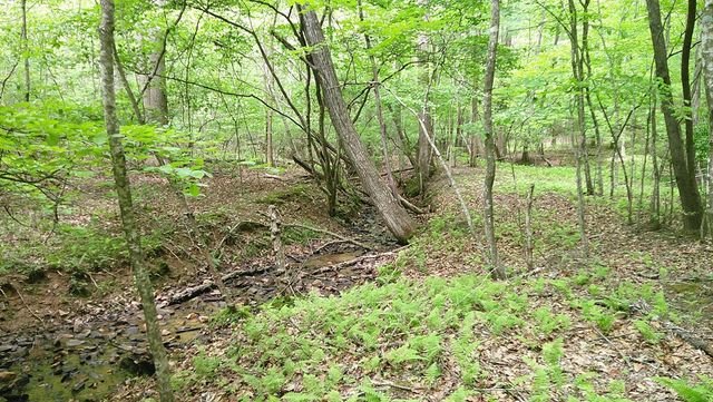 00 Tracks Hollow, Murphy, NC 28906