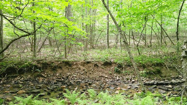00 Tracks Hollow, Murphy, NC 28906
