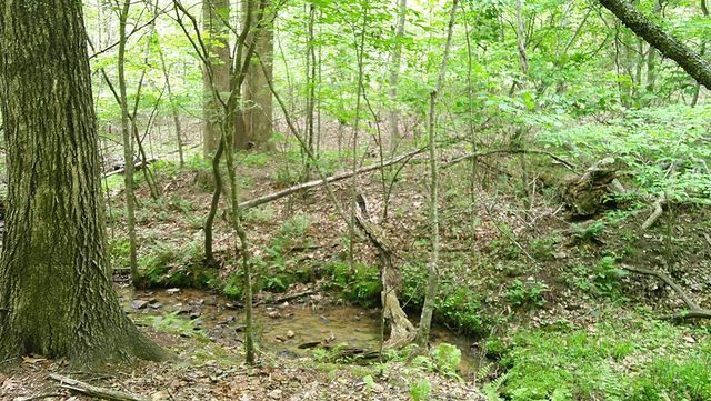 00 Tracks Hollow, Murphy, NC 28906