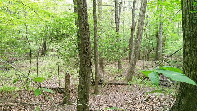 00 Tracks Hollow, Murphy, NC 28906