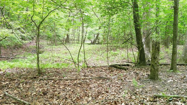 00 Tracks Hollow, Murphy, NC 28906