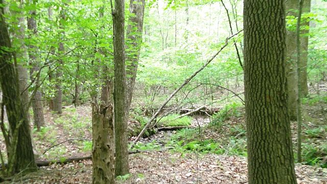 00 Tracks Hollow, Murphy, NC 28906