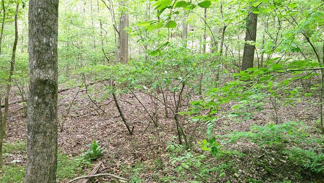 00 Tracks Hollow, Murphy, NC 28906