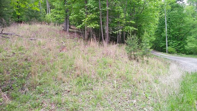 00 Tracks Hollow, Murphy, NC 28906