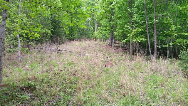 00 Tracks Hollow, Murphy, NC 28906