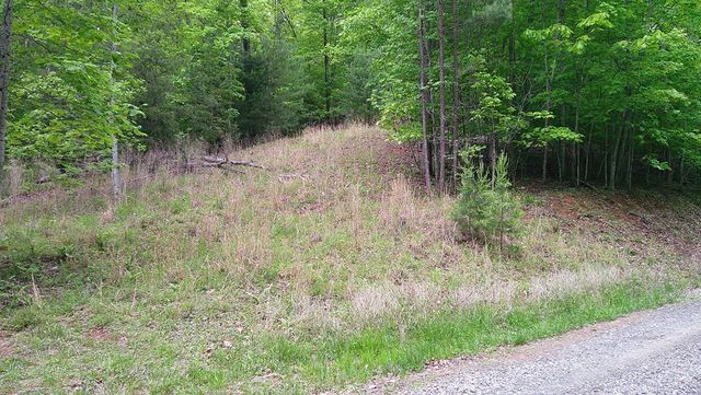 00 Tracks Hollow, Murphy, NC 28906