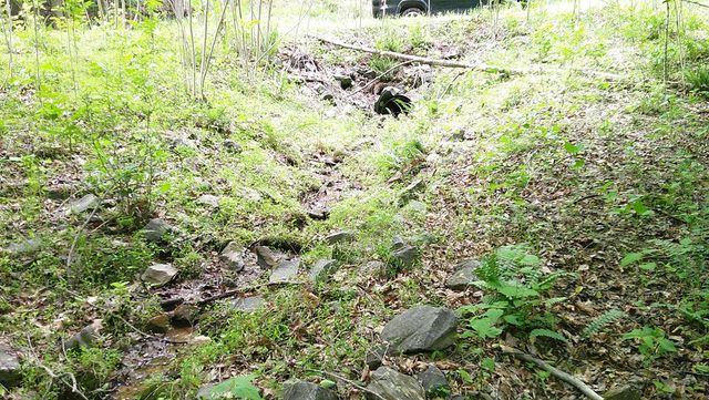 00 Tracks Hollow, Murphy, NC 28906
