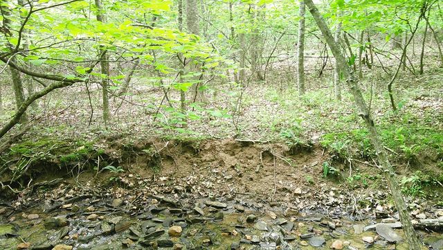 00 Tracks Hollow, Murphy, NC 28906