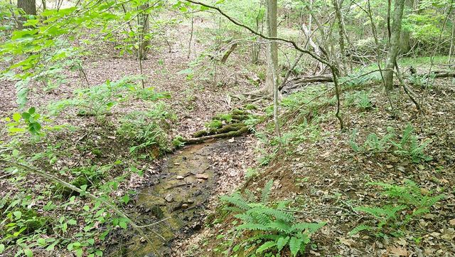 00 Tracks Hollow, Murphy, NC 28906
