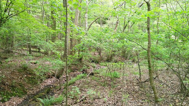 00 Tracks Hollow, Murphy, NC 28906