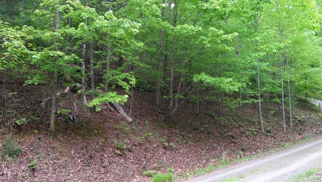 00 Tracks Hollow, Murphy, NC 28906