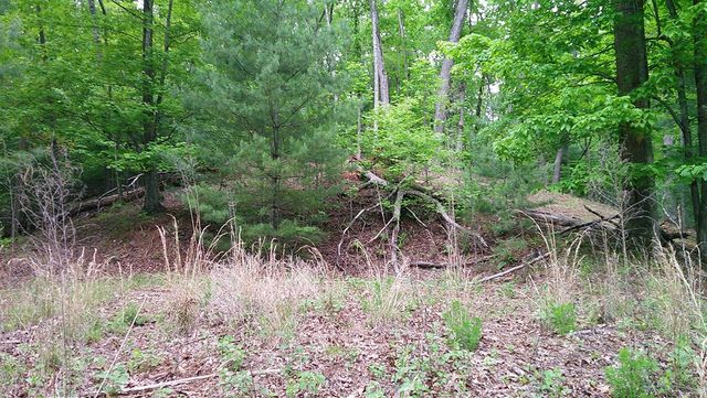 00 Tracks Hollow, Murphy, NC 28906