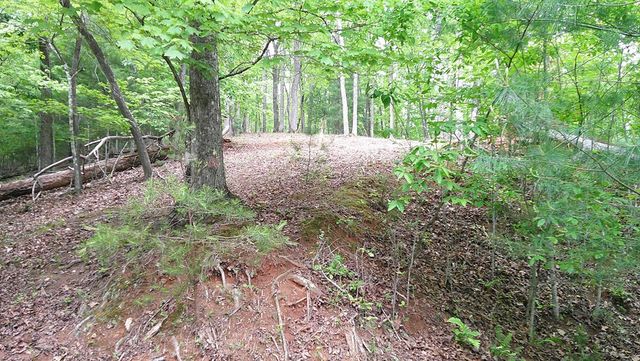 00 Tracks Hollow, Murphy, NC 28906