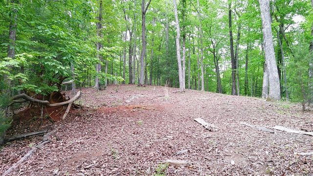 00 Tracks Hollow, Murphy, NC 28906
