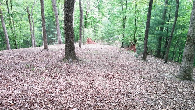 00 Tracks Hollow, Murphy, NC 28906