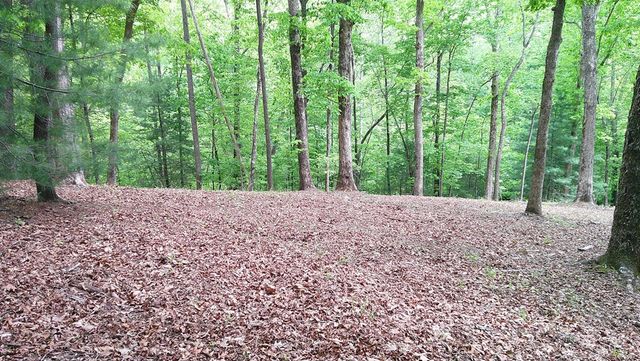 00 Tracks Hollow, Murphy, NC 28906
