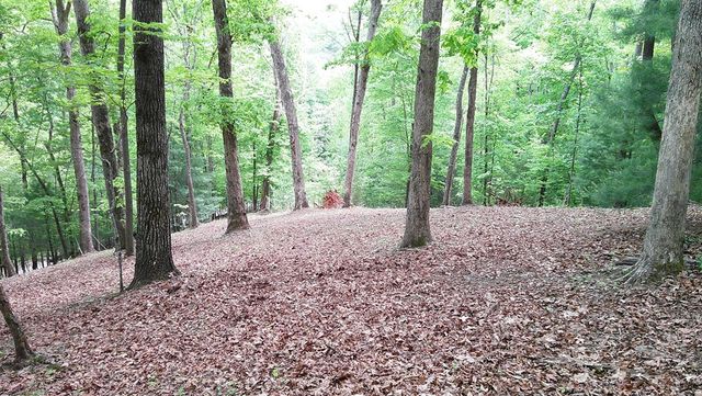 00 Tracks Hollow, Murphy, NC 28906