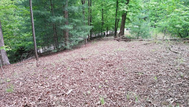 00 Tracks Hollow, Murphy, NC 28906