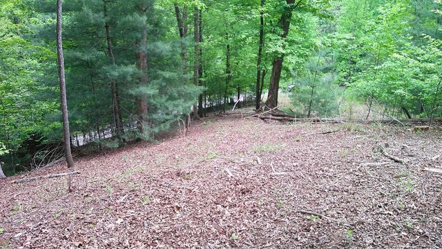 00 Tracks Hollow, Murphy, NC 28906