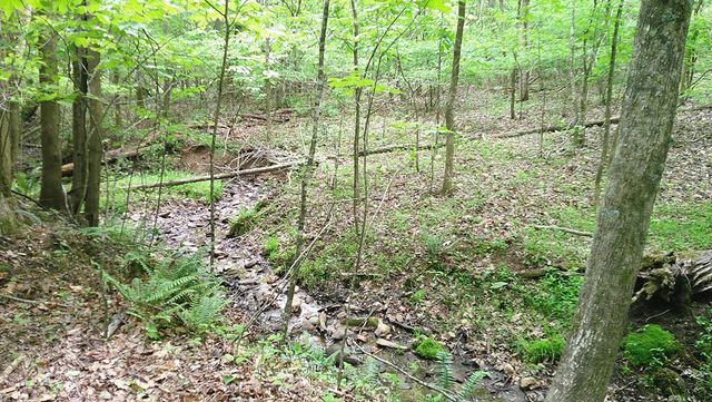 00 Tracks Hollow, Murphy, NC 28906