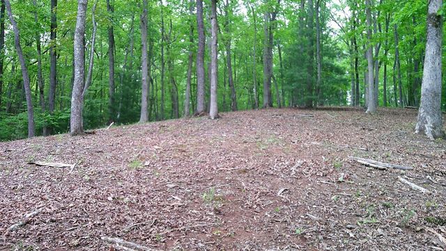 00 Tracks Hollow, Murphy, NC 28906