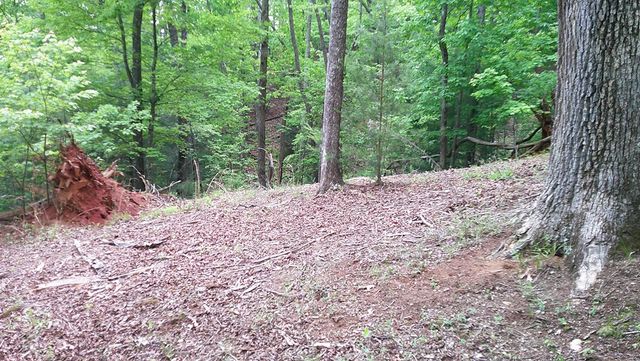 00 Tracks Hollow, Murphy, NC 28906