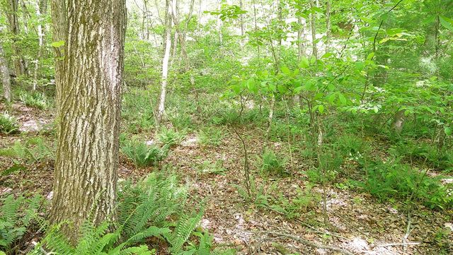 00 Tracks Hollow, Murphy, NC 28906