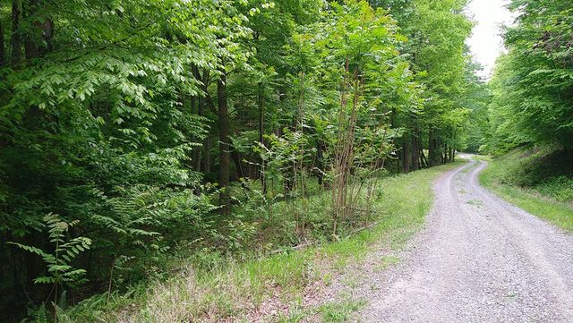00 Tracks Hollow, Murphy, NC 28906