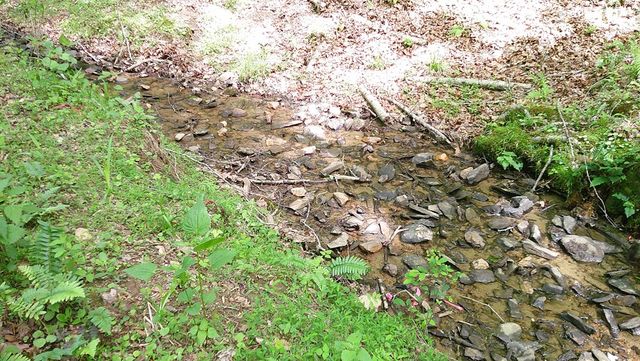 00 Tracks Hollow, Murphy, NC 28906