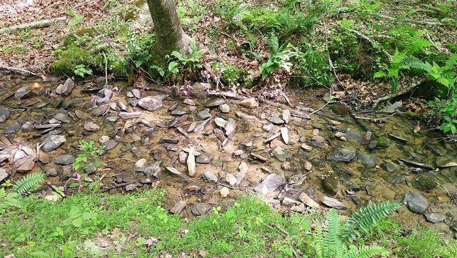 00 Tracks Hollow, Murphy, NC 28906
