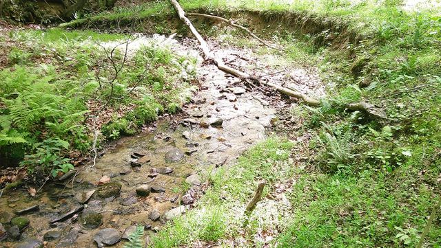 00 Tracks Hollow, Murphy, NC 28906