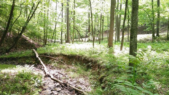 00 Tracks Hollow, Murphy, NC 28906