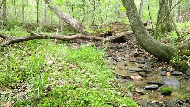 00 Tracks Hollow, Murphy, NC 28906